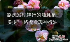 路虎发现神行的油耗是多少？ 路虎发现神行油耗多少真实油耗