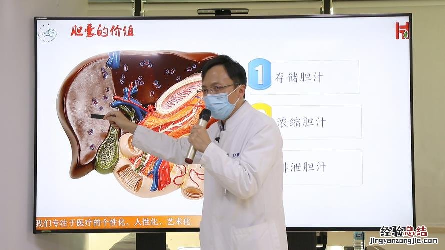 胆是什么意思