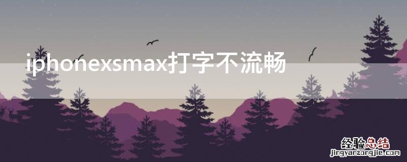 iPhonexsmax打字不流畅