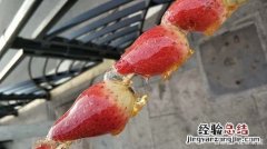 多肉冻成冰糖葫芦，简单1步，竟然打了鸡血似的活了！