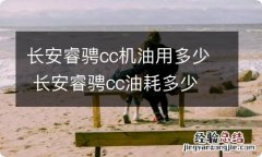 长安睿骋cc机油用多少 长安睿骋cc油耗多少