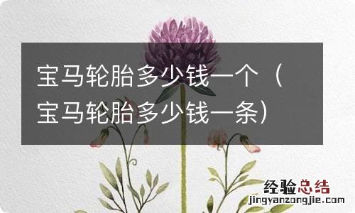 宝马轮胎多少钱一条 宝马轮胎多少钱一个