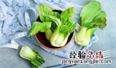 八月份适合种什么蔬菜? 八月份适合种植什么蔬菜