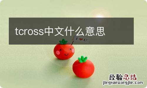 tcross中文什么意思