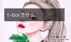 t-box是什么