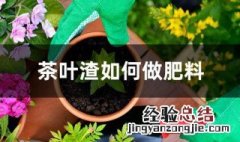 茶叶渣如何做肥料 茶叶渣养花方法分享