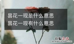 昙花一现是什么意思昙花一现有什么意思