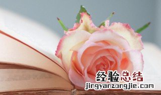 实线加虚线是什么意思啊 实线加虚线是什么意思