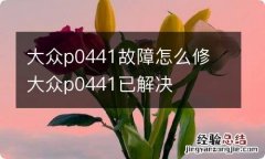 大众p0441故障怎么修 大众p0441已解决