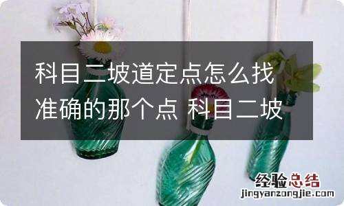 科目二坡道定点怎么找准确的那个点 科目二坡道定点最简单的找点方法