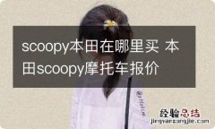 scoopy本田在哪里买 本田scoopy摩托车报价