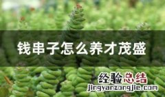 钱串子怎么养才茂盛 钱串子用什么土种最好