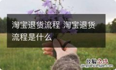 淘宝退货流程 淘宝退货流程是什么