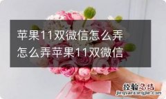 苹果11双微信怎么弄怎么弄苹果11双微信