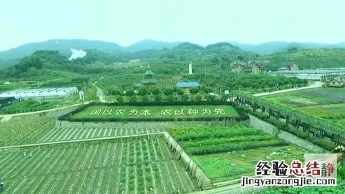 多少亩地能成立农业合作社