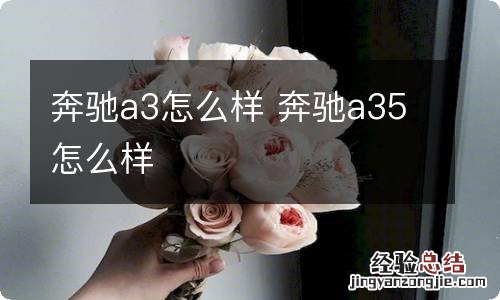 奔驰a3怎么样 奔驰a35怎么样