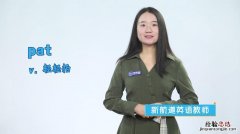 pat是什么意思