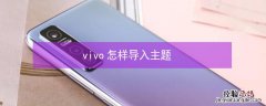 vivo怎样导入主题