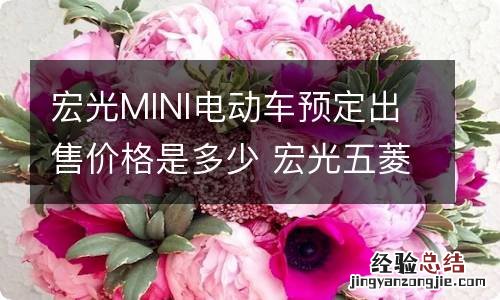 宏光MINI电动车预定出售价格是多少 宏光五菱mini电动车最低价多少钱