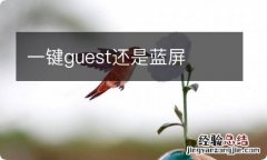 一键guest还是蓝屏