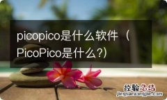 PicoPico是什么? picopico是什么软件