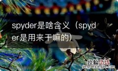 spyder是用来干嘛的 spyder是啥含义