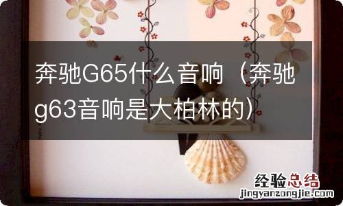奔驰g63音响是大柏林的 奔驰G65什么音响