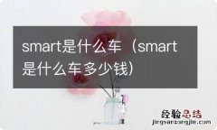 smart是什么车多少钱 smart是什么车