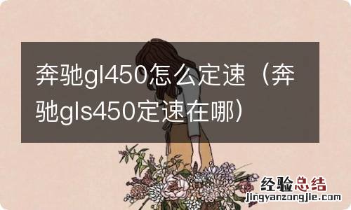 奔驰gls450定速在哪 奔驰gl450怎么定速