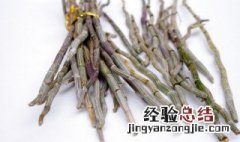 秋石斛的种植方法及繁殖方式 秋石斛的种植方法及繁殖