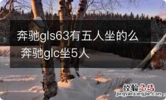 奔驰gls63有五人坐的么 奔驰glc坐5人