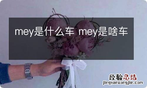 mey是什么车 mey是啥车