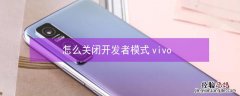 怎么关闭开发者模式vivo