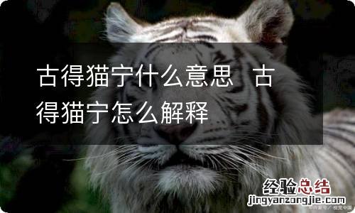 古得猫宁什么意思古得猫宁怎么解释