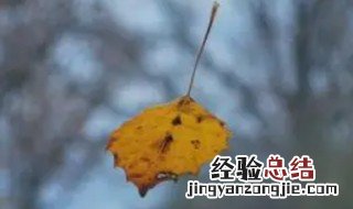 立秋分上午和下午吗 立秋分不分上午和下午