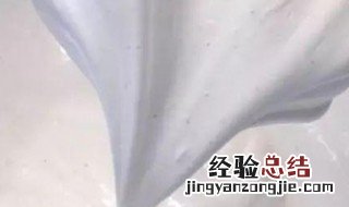 淡奶油冷冻后还能用吗怎么补救 淡奶油冷冻了怎么办还能用吗