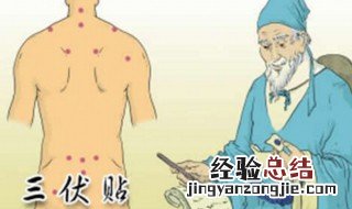 三伏贴是一周贴一次还是一周贴两次 三伏贴一个星期贴几次