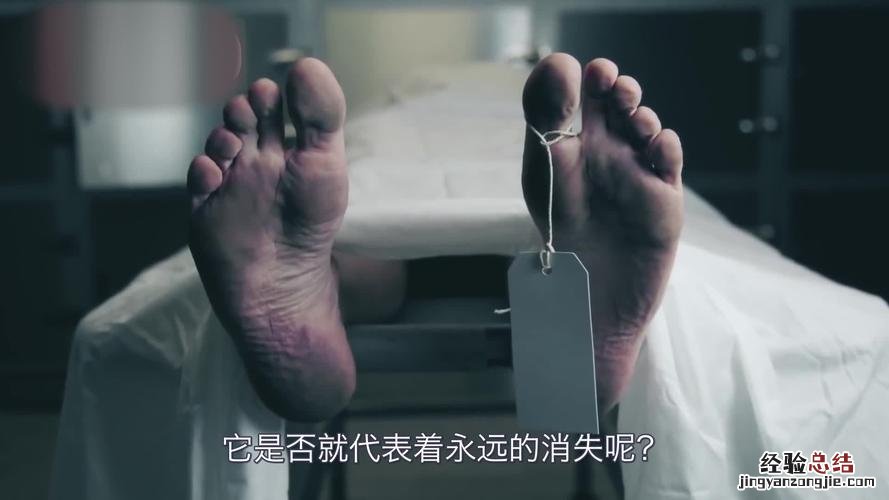 杀生最后的秘密是什么