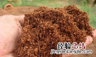 椰砖拌土的不良后果 椰砖拌土有什么不良后果呢