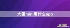 大疆mini用什么app