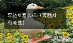 奔驰sl有哪些 奔驰sl怎么样