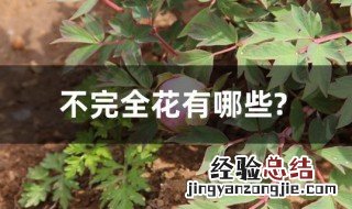 不完全花有哪些? 不完全花是什么意思