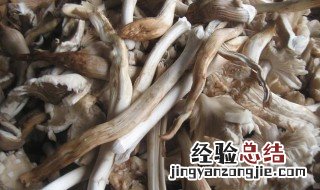 鸡枞菌怎么洗才干净 鸡枞菌怎么洗才干净视频