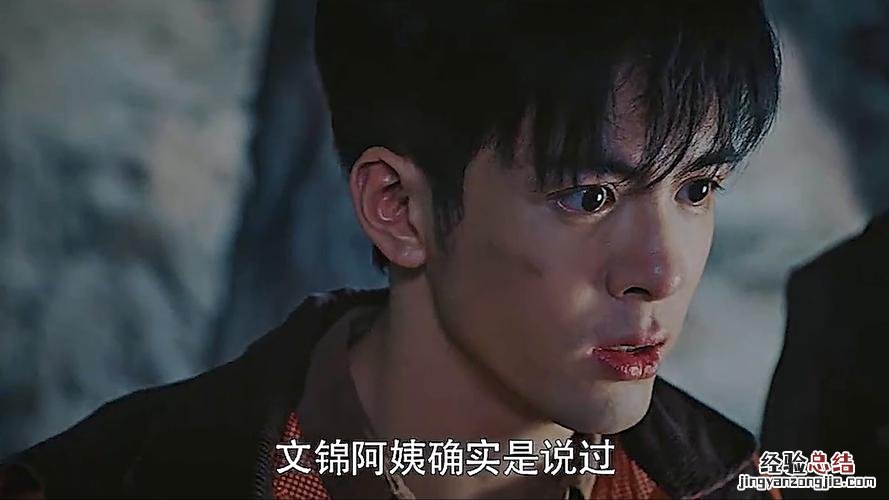 陈文锦在陨玉里发生了什么