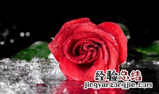 23朵玫瑰花语 23朵玫瑰花语花礼网