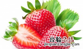 草莓大棚种植方法 草莓大棚栽培技术介绍