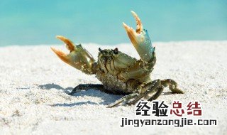 醉蟹腌多久寄生虫会死 醉蟹寄生虫腌制一年还存活么