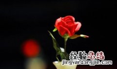 家里的花怎么摆放 家里的花怎么摆放不乱