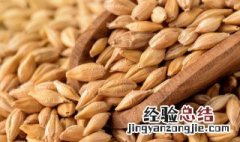 怎么贮存小麦 怎么储存小麦整个夏天不生虫