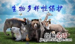 保护生物多样性的意义 生物多样性包括哪些内容